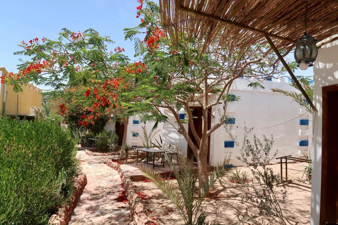 Bedouins Inn Village アカバ エクステリア 写真