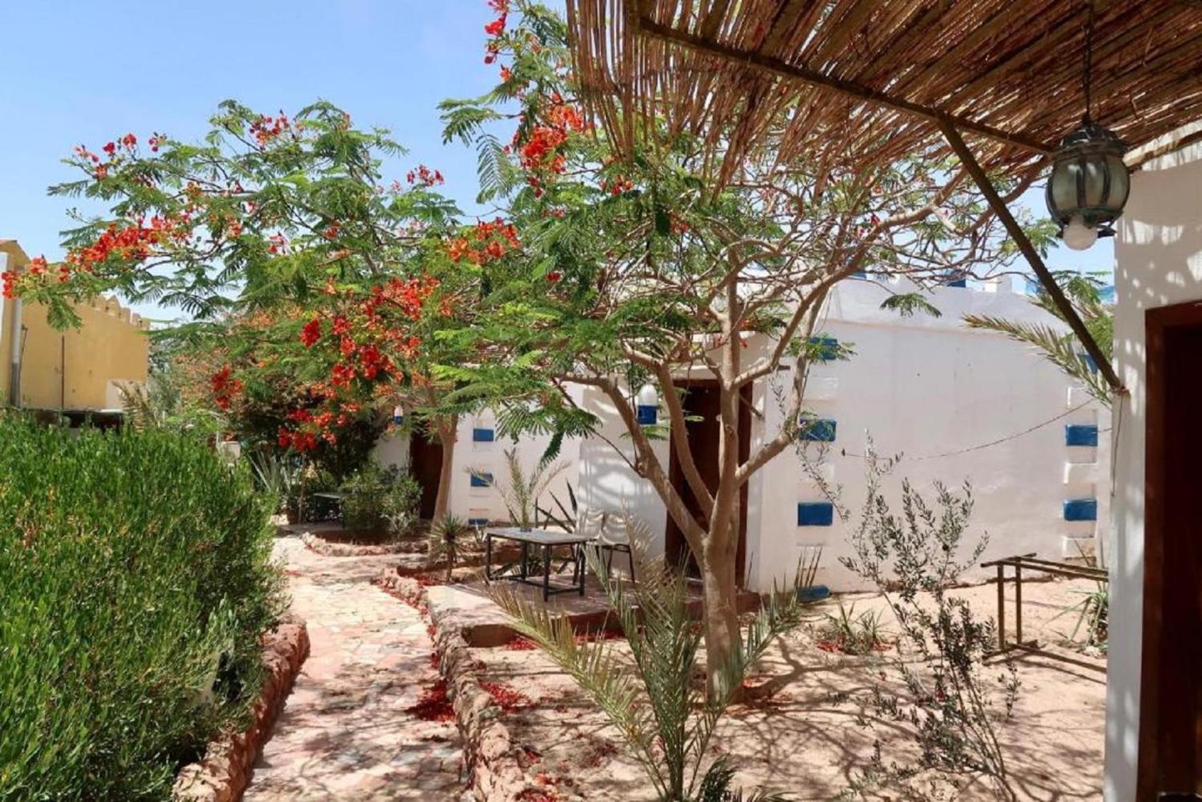 Bedouins Inn Village アカバ エクステリア 写真